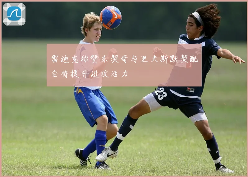 雷迪克称赞东契奇与里夫斯默契配合将提升进攻活力