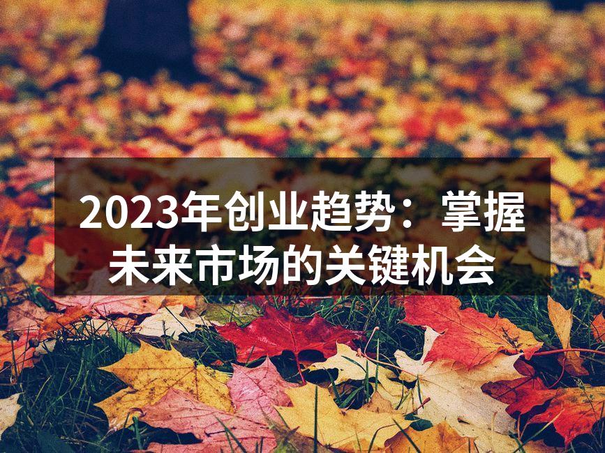 2023年创业趋势：掌握未来市场的关键机会