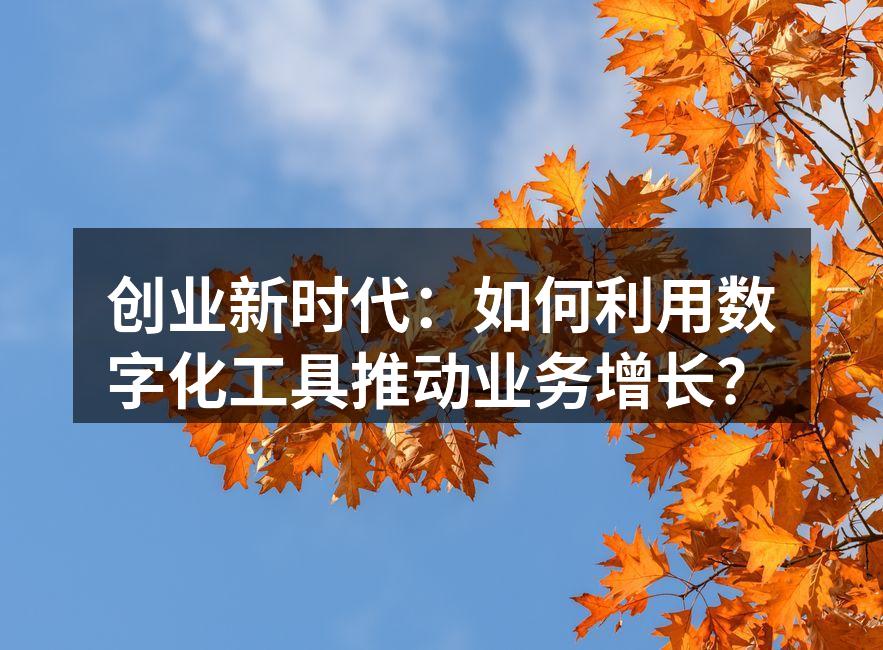 创业新时代：如何利用数字化工具推动业务增长？